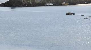 Дома для отпуска Inverin Escape Inverin Дом с 4 спальнями-16